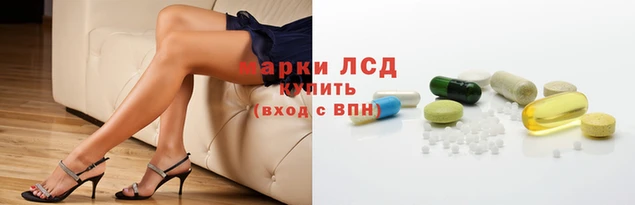 spice Новозыбков