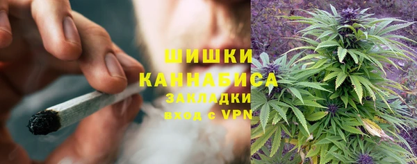 метадон Новодвинск