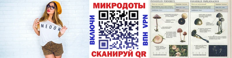 Галлюциногенные грибы мицелий  Спас-Клепики 